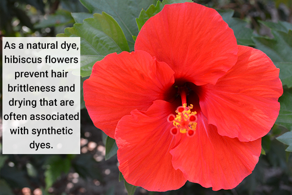 hibiscus flowers can be used as a natural hair dye