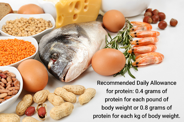 ideal protein requirements for the human body